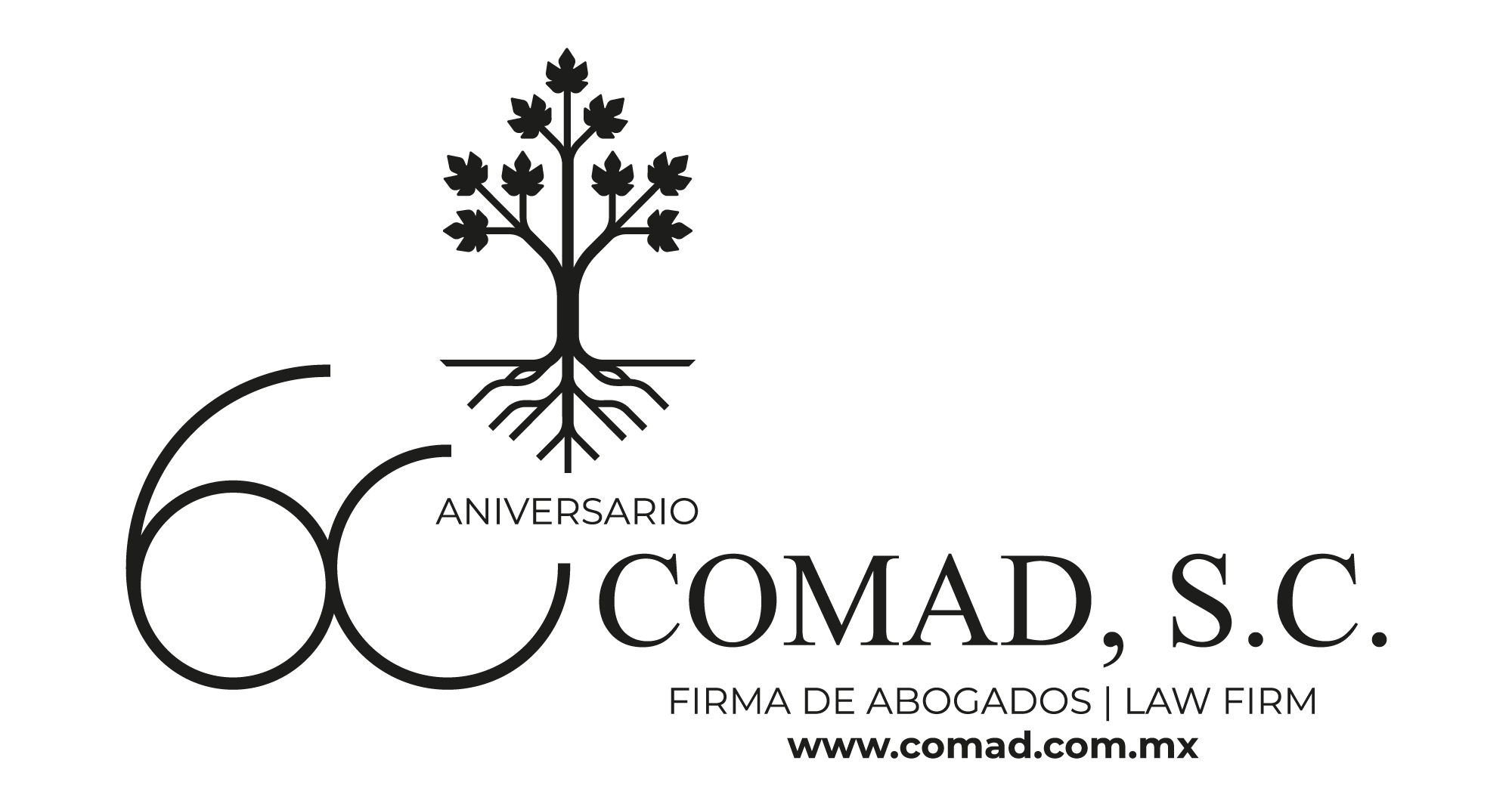 Firma manuscrita